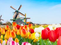 AMSTERDAM I NIZOZEMSKA POLJA TULIPANA - 6 dana autobusom