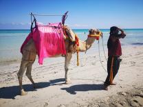 Fakultativni izleti na otoku Djerba