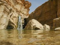 Otok Djerba (Tunis)