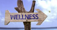 Wellness paketi